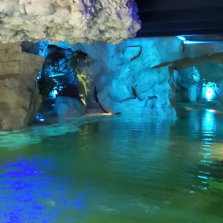 レギーナ パレス