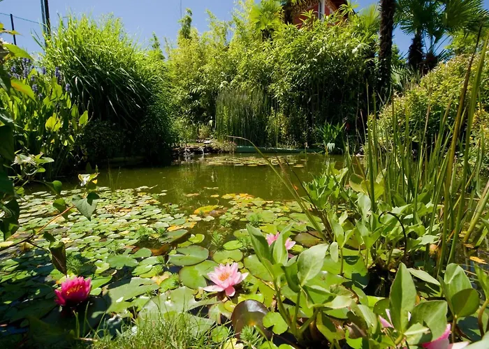 Regina Palace Отель 4*