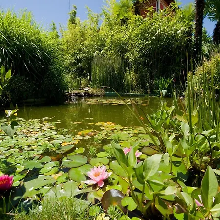 Regina Palace Hotell 4*